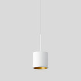 BEGA LED-Pendelleuchte 1LED 3000K 1127lm 50991.4K3 Konv sym IP20
