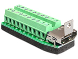 Delock Terminalblock Adapter HDMI Buchse zu 20 Pin