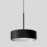 BEGA LED-Pendelleuchte 1LED 3000K 2607lm 51001.2K3 Konv sw sym IP20