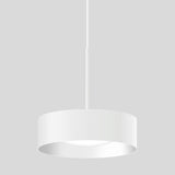 BEGA LED-Pendelleuchte 1LED 3000K 3999lm 51006.1K3 Konv sym IP20