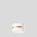 BEGA LED-Pendelleuchte 1LED 3000K 2427lm 51207.4K3 Konv ms sym IP20