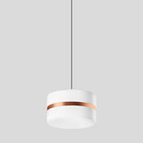 BEGA LED-Pendelleuchte 1LED 3000K 2427lm 51207.6K3 Konv cu sym IP20