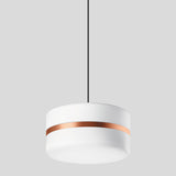 BEGA LED-Pendelleuchte 1LED 3000K 3932lm 51208.6K3 Konv cu sym IP20