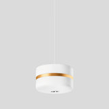 BEGA LED-Pendelleuchte 1LED 3000K 2585lm 51209.4K3 Konv ms sym IP20
