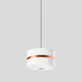 BEGA LED-Pendelleuchte 1LED 3000K 2585lm 51209.6K3 Konv cu sym IP20
