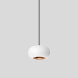 BEGA LED-Pendelleuchte 1LED 3000K 1011lm 51282.6K3 Konv sym IP20
