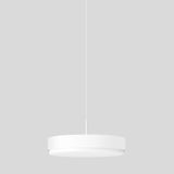 BEGA LED-Pendelleuchte 1LED 3000-4000K 51441.1 3291lm Konv sym IP20