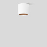 BEGA LED-Anbaustrahler 14,2W Konv DALI 51449.6K3 1LED ws 3000K ws 1286lm ws mt