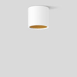 BEGA LED-Anbaustrahler 19,2W Konv DALI 51450.4K3 1LED ws 3000K ws 2117lm ws mt