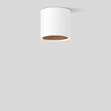 BEGA LED-Anbaustrahler 19,2W Konv DALI 51450.6K3 1LED ws 3000K ws 2112lm ws mt