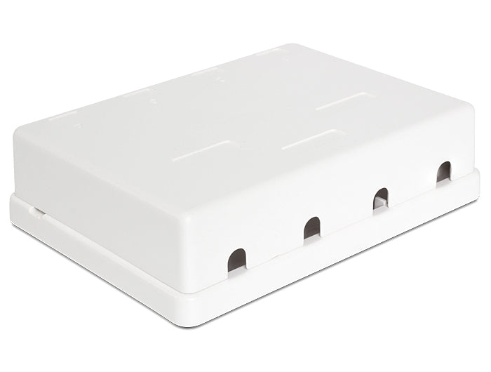 Delock Keystone Leergehäuse 4 Port