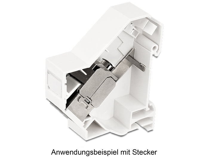 Delock Keystone Halterung für Hutschienen mit Erdung