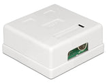 Delock Netzwerk Anschlussdose 2 Port Cat.6