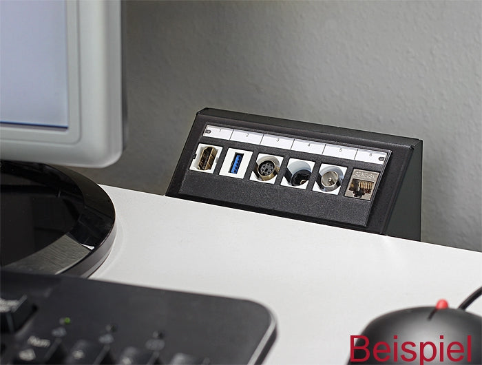 Delock Keystone Multimedia Panel 6 Port schwarz