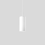 LIMBURG-GLAS LED-Pendelleuchte 2LEDs sym 56606.1K4 4000K 1384lm Konv IP20
