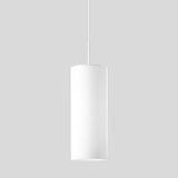 LIMBURG-GLAS LED-Pendelleuchte 6LEDs sym 56609.1K4 4000K 6114lm Konv IP20