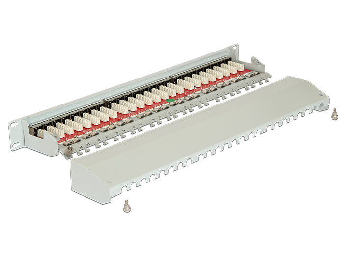 Delock 19″ Patchpanel 24 Port Cat.6A grau