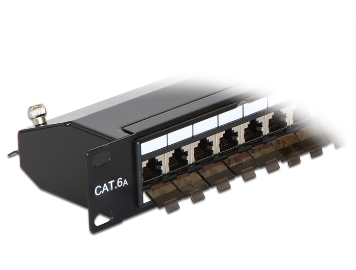 Delock 19″ Patchpanel 24 Port Cat.6A schwarz