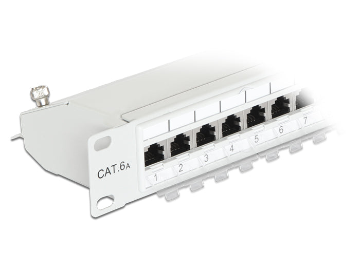Delock 19″ Patchpanel 24 Port Cat.6A grau