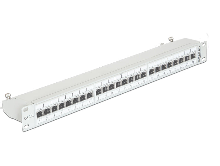 Delock 19″ Patchpanel 24 Port Cat.6A grau