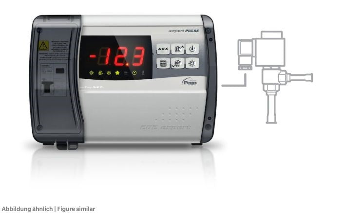 Kompaktsteuerung ECP 200 Expert Pulse 230Vac, 1,5kW, PWM, mit 2 x NTC Fühler