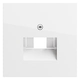 GIRA Zentralplatte UAE/IAE 1f rws glz 027070 Schraubbef