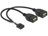 Delock USB Kabel Pin Header Buchse > 2 x USB 2.0 Typ-A Buchse 20 cm