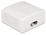 Delock Netzwerk Anschlussdose 2 Port Cat.6A LSA