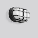 RZB LED-Ovalanbauleuchte 12W 3000K 670lm AluLux 582064.0031 anth