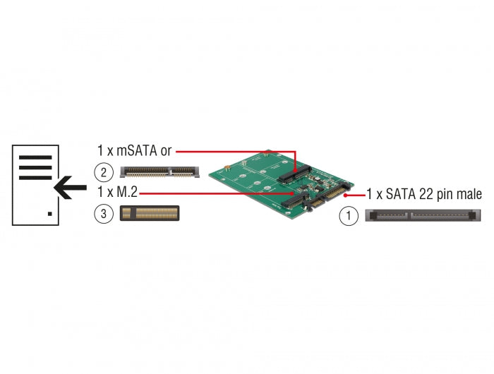 Delock Konverter SATA 22 Pin > 1 x M.2 + 1 x mSATA