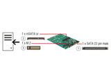 Delock Konverter SATA 22 Pin > 1 x M.2 + 1 x mSATA