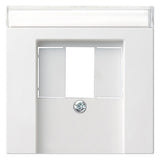 GIRA Zentralplatte USB/TAE 1f rws System 55 087603 Schraubbef