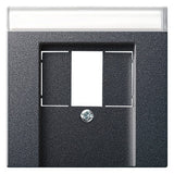 GIRA Zentralplatte USB/TAE 1f anth System 55 087628 Schraubbef