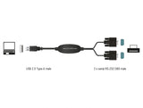Delock Adapter USB 2.0 Typ-A > 2 x Seriell DB9 RS-232