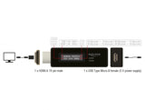 Delock HDMI Tester für EDID Information mit OLED Anzeige