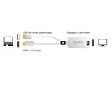 Delock Adapter HDMI-A Stecker > DisplayPort 1.2 Buchse weiß