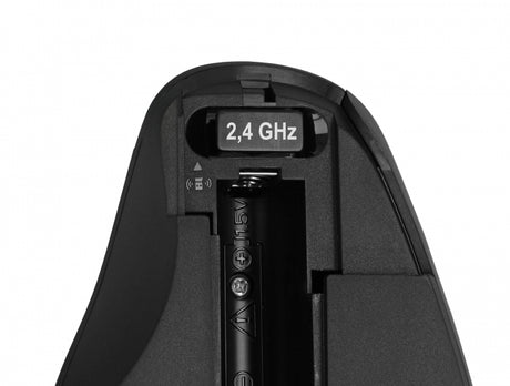 Delock Ergonomische USB Maus - kabellos - Ansicht 2