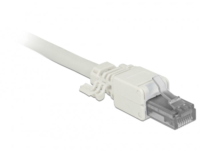 Delock RJ45 Stecker Cat.6A UTP werkzeugfrei 2 Stück