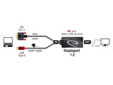 Delock Adapter DVI Stecker > DisplayPort 1.2 Buchse schwarz