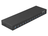 Delock 19″ Industrie Hub 13 x USB 5 Gbps Typ-A
