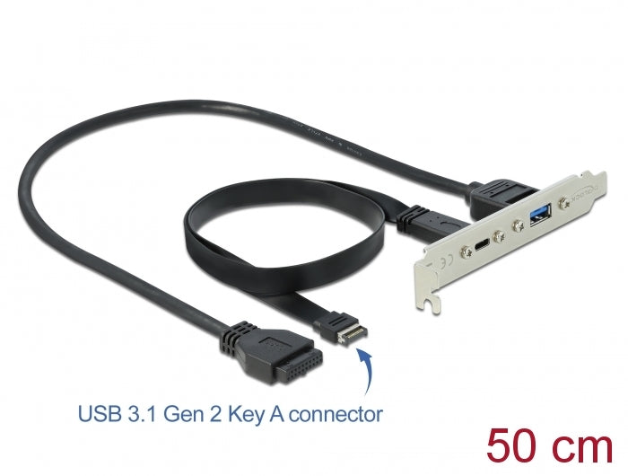 Delock USB 10 Gbps Slotblech mit 1 x USB Type-C™ und 1 x USB Typ-A Port