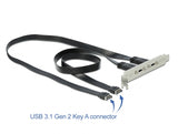 Delock USB 10 Gbps Slotblech mit 2 x USB Type-C™ Port