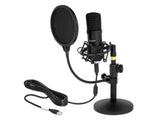 Delock Professionelles USB Kondensator Mikrofon Set für Podcasting und Gaming