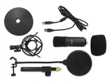 Delock Professionelles USB Kondensator Mikrofon Set für Podcasting und Gaming