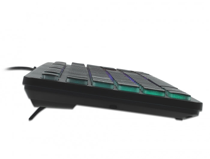 Delock USB Tastatur kabelgebunden 1,5 m schwarz mit RGB Beleuchtung
