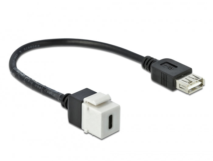 Delock Keystone Modul USB 2.0 C Buchse > USB 2.0 A Buchse mit Kabel