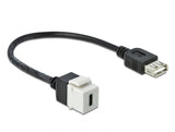 Delock Keystone Modul USB 2.0 C Buchse > USB 2.0 A Buchse mit Kabel