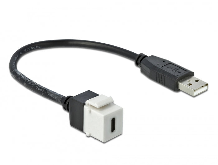 Delock Keystone Modul USB 2.0 C Buchse > USB 2.0 A Stecker mit Kabel