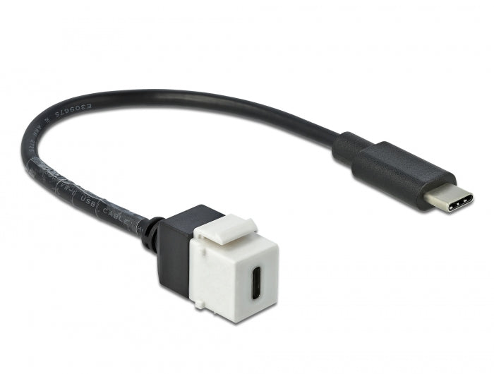 Delock Keystone Modul USB 5 Gbps Type-C™ Buchse zu USB Type-C™ Stecker mit Kabel 25 cm