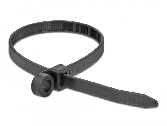 Delock Kabelbinder mit Befestigungsöse L 300 x B 7,6 mm schwarz 10 Stück